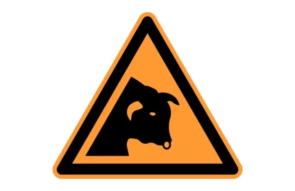ISO 7010 W034 Bull Warning Sign CAD Block