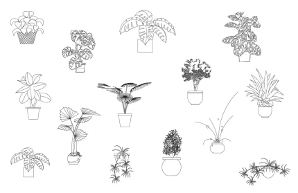Indoor Plants CAD Blocks