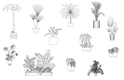 Potted Palms CAD Blocks