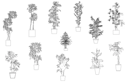 Potted Tropical Plants AutoCAD Blocks