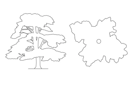 Lebanese Cedar Tree CAD Block