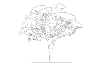 Eucalyptus-Tree-CAD-Drawing-SVG-PDF