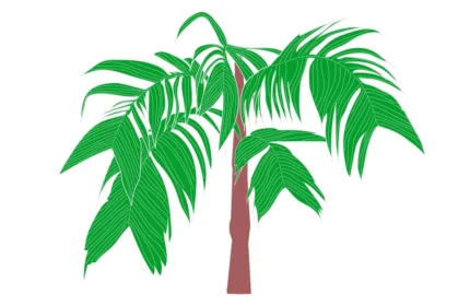 Genoma Congesta Tree - Elevation View Drawings (DWG, PDF, SVG)