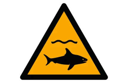 ISO 7010 W054 Shark Warning Sign CAD Drawing (DWG, PDF, SVG)