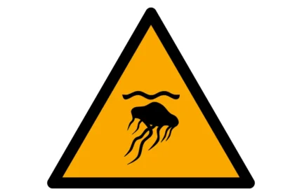 ISO 7010 W069 Jellyfish Warning Sign CAD Drawings (DWG, SVG, PDF)